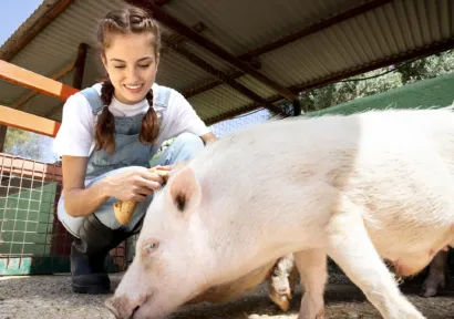 Joven alimentando a un cerdo en un entorno natural, promoviendo el bienestar animal y la salud sostenible