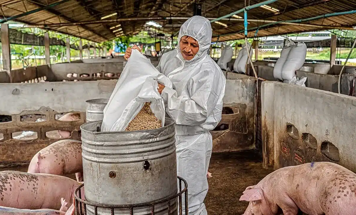 Control de calidad en la alimentación animal