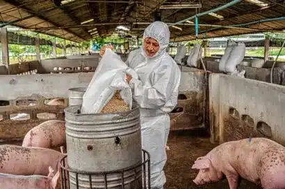 Control de calidad en la alimentación animal