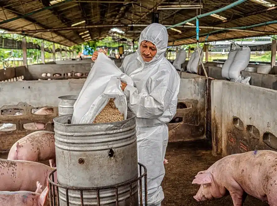 Control de calidad en la alimentación animal