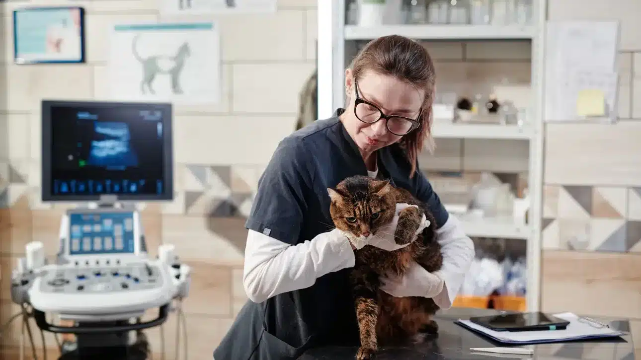 importancia del veterinario forense