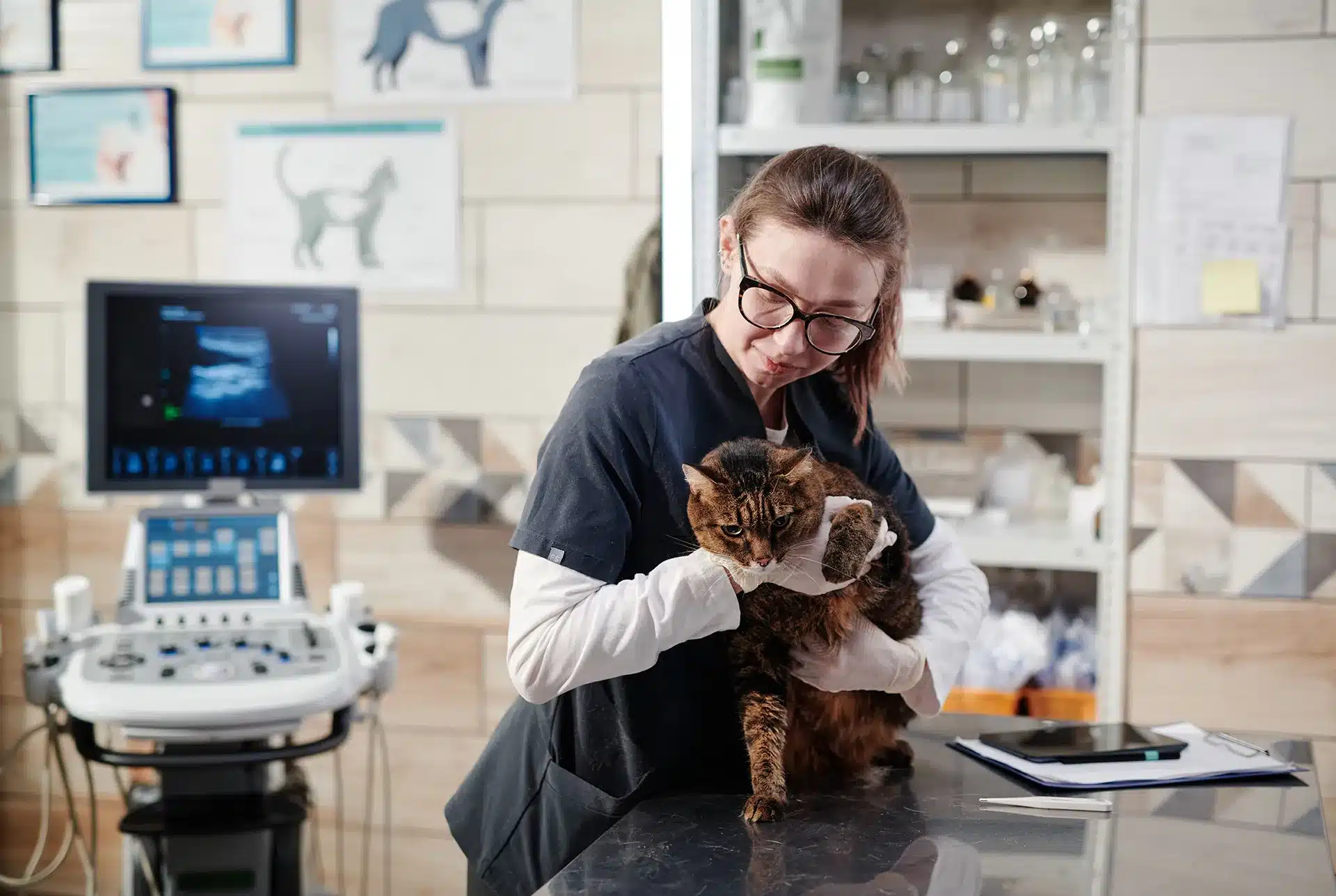 importancia del veterinario forense