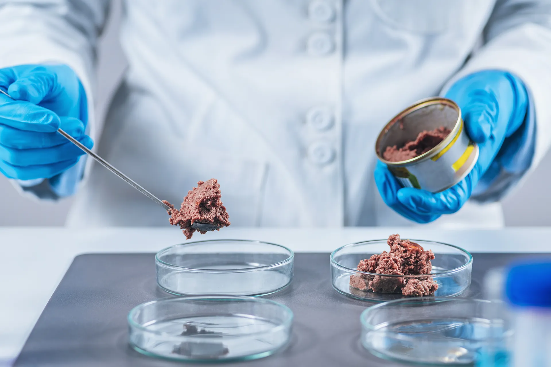 Técnico de laboratorio analizando muestras de alimento en un control de calidad