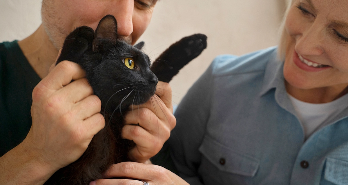 custodia compartida de animales de compañía
