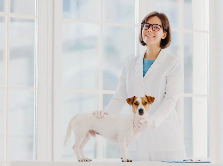 Perito Veterinario: qué hace y cuándo necesitarlo